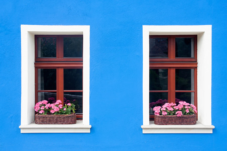 Two windows with boxes full of flowers. Blue paint wall background.
