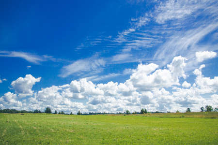Beautiful summer landscape. Green grass field and blue cloudy sky.の写真素材