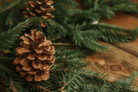 Christmas background. Green branch with empty space on the side.
