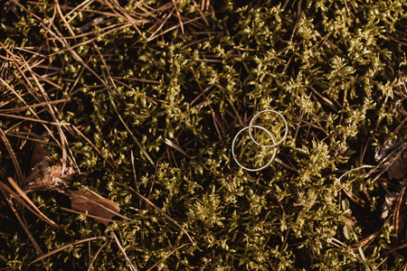 Golden wedding rings on forest ground moss background.の写真素材