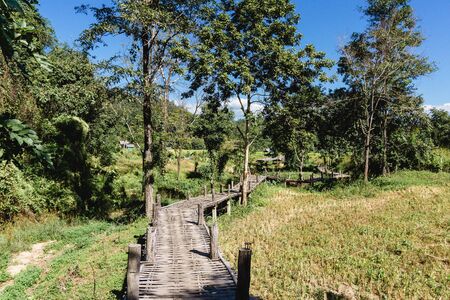 Bamboo bridge in Pai Thailand. Popular tourist destination in North of Thailand. Long wooden bamboo path through rice fields.の写真素材