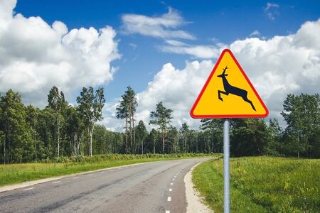 The Deer Crossing Warning sign. Dangerous accident may happen even on empty road. Be careful animals...
