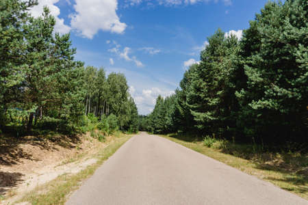 Asphalt road through the forest. Summer coniferous forest travel landscape. Long empty straight road...