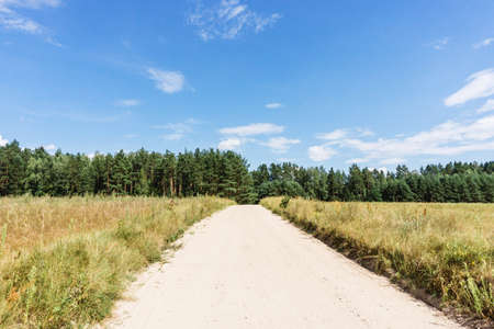 Rural sand road through summer meadow. Blue sky sunny day landscape. Agriculture farming field...