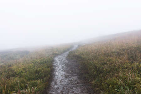 Mystic foggy mountain trail. Bieszczady National Park in Poland. Muddy trekking path on the hill.の写真素材