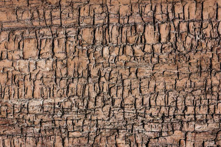 Cracked wood texture. Old peeling paint background. Grunge wooden wall background. Broken wood desk...