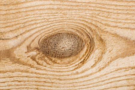 Wood knot background. Grunge wooden texture. Dry desk cracks pattern. Cut tree slice cross section. Uneven natural material board. Brown wooden knot.の写真素材