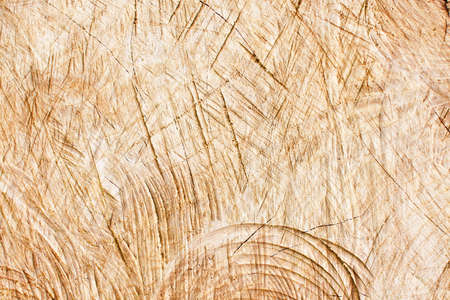 Wood carving texture. Wooden sculpture closeup. Scratched plank background. Cracked wood pattern....