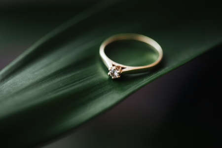 Diamond engagement ring on green leaf. Artistic love jewelry. Romantic gift empty copy space background. Macro closeup golden ring on a plant.の写真素材