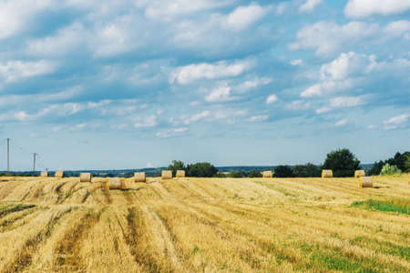 Harvested field with straw bales and blue sky with cloudsの写真素材