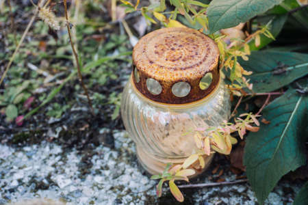 A small glass jar with a metal lid stands on the ground among the green leaves.