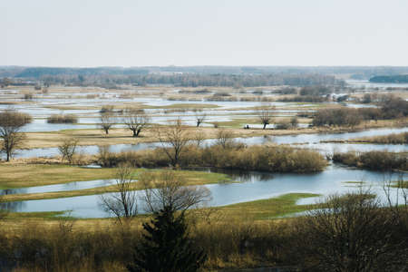 A view of the Camargue river, France. High quality photoの写真素材