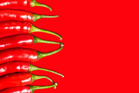 Red hot chili peppers on red background. Top view. Copy space.の写真素材