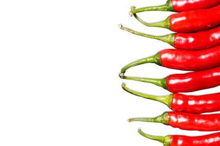 Red hot chili peppers isolated on white background. Spicy food ingredient. Empty copy space...