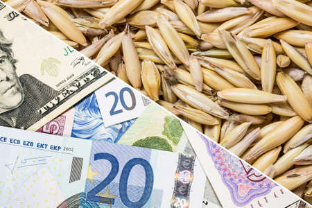 Dollar and euro bills and oat grains close-up. Money background.