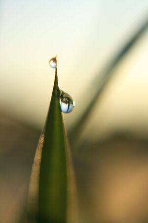 taken in morningの写真素材