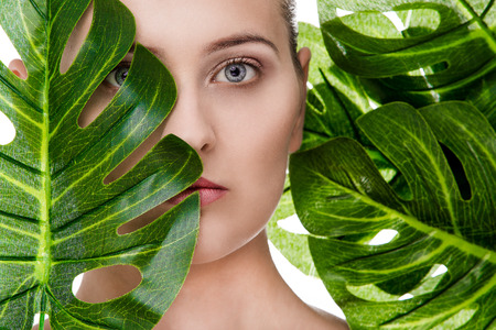 Woman beauty portrait with tropical leafの写真素材