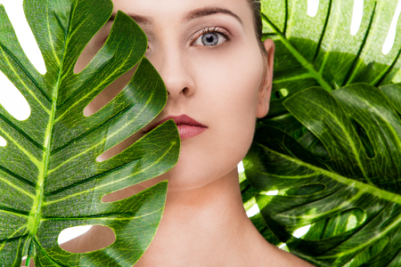 Woman beauty portrait with tropical leafの写真素材