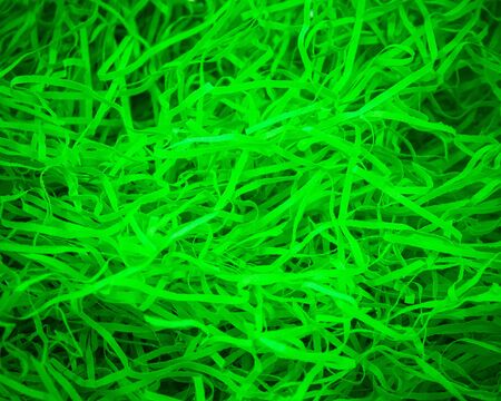 Set of abstract green grass background.の写真素材