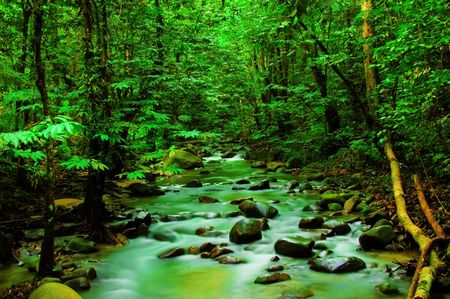 mountain river