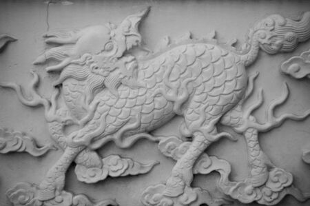 White dragonの写真素材