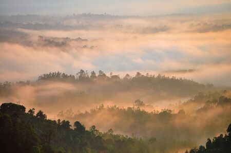 Morning Mist at Tropical Mountain Range, Malaysiaの写真素材
