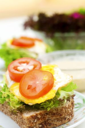 Healthy organic homemade sandwich and salad breakfast.
の写真素材