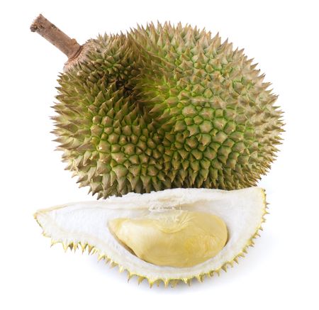 Tropical fruit - Durian isolated on white background.の写真素材