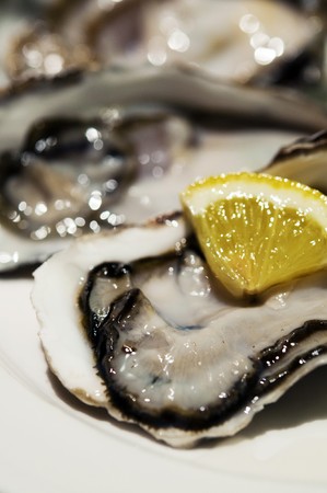 Close up on fresh oysters with lemon slideの写真素材