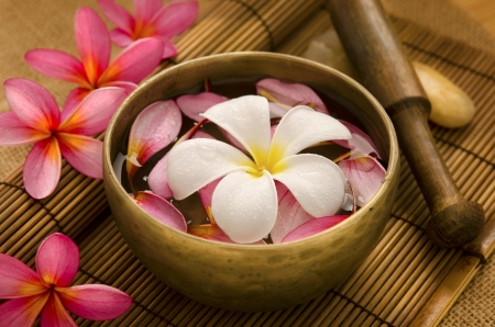 Tropical spa with Frangipani flowers on water. Low lighting, suitable for spa related theme.の写真素材