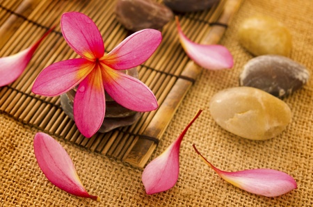 Tropical spa with frangipani flowers.の写真素材