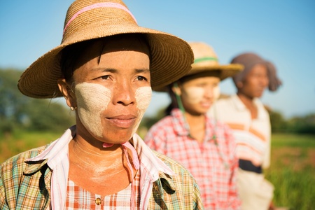 Myanmar farmer standing in row and looking awayの写真素材
