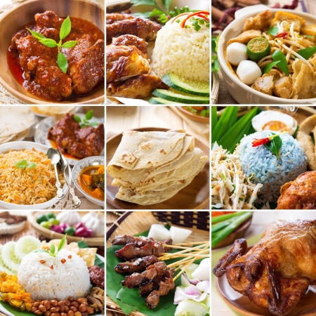 Asian food collection. Various Asia cuisine, curry, rice, noodles, biryani, roti chapatti, nasi kerabu, nasi lemak, satay and roast chicken.の写真素材
