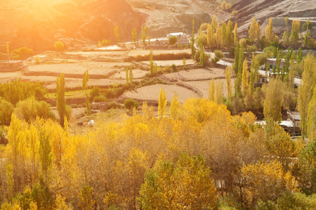 Beautiful landscape in small village at Leh during falls, Ladakh, India.の写真素材