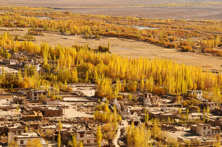 Beautiful scenery in small village at Leh during falls, Ladakh, India.の写真素材