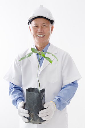 Portrait of Asian scientist hand holding plant seedling, standing isolated on white background.の写真素材