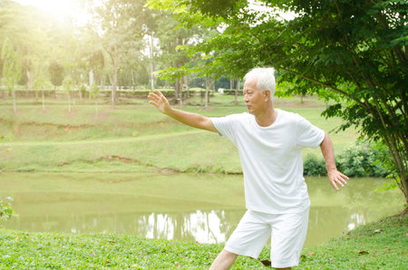 Portrait of fitness white hair Asian senior man practicing martial arts at outdoor park in morning.の写真素材