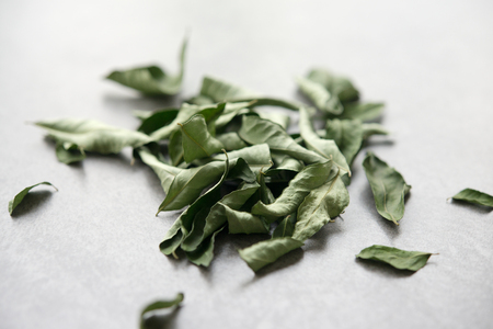 Close up dried curry leaves, Indian cuisine spices on grey background.の写真素材