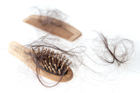 Hairloss problem. Hairbrushes with lost hair on it, isolated on white background.