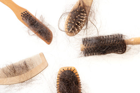 Collection set of brushes with lost hair on it, isolated on white background.の写真素材