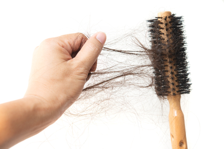 Human hand grabbing lost hair on brush, isolated on white background.の写真素材