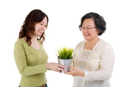 Senior woman and daughter holding a pot plant  green life concept  の写真素材