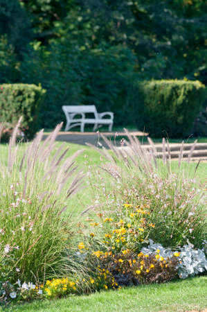 Colorful flowers in sunny park with white bench on backの写真素材