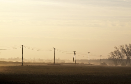 Foggy early morning with pylonsの写真素材