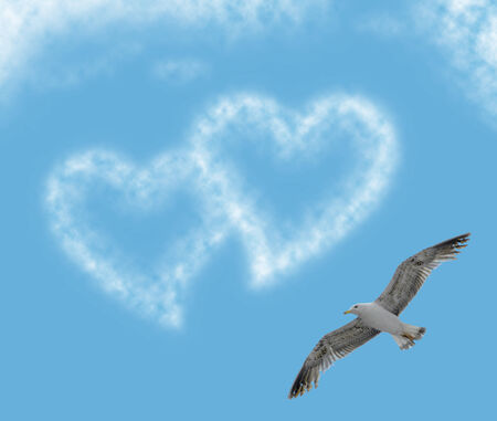 Cloud hearts in the clear sky with seagullの写真素材