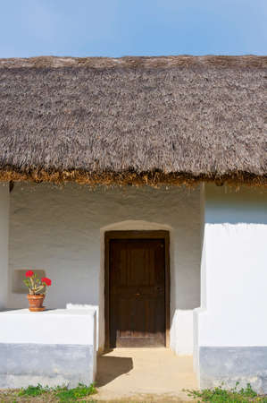 Traditional old house detail with door and flowerの写真素材