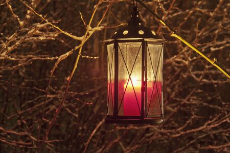 An old lantern with lighting candle at night before a bare bushの写真素材