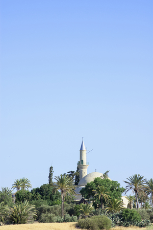 Hala Sultan Tekke Mosque with palm trees in Cyprusの写真素材