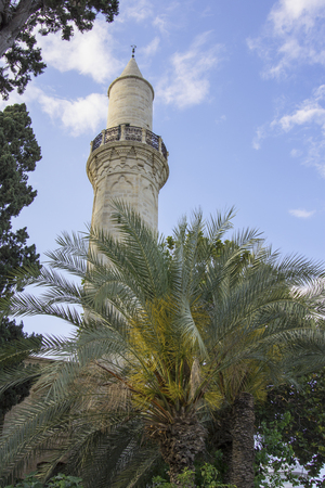 Mosque tower above palm trees in Cyprusの写真素材