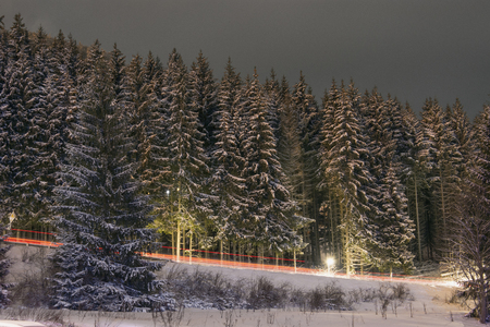 Winter pine forest evening with country roadの写真素材